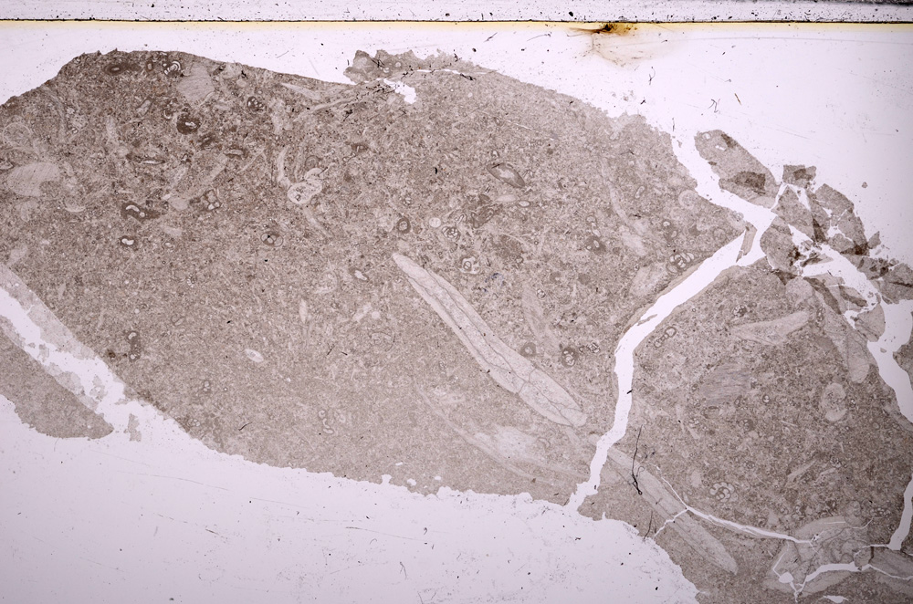 Plane Polarized, E26778