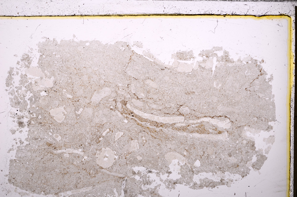 Plane Polarized, E26780