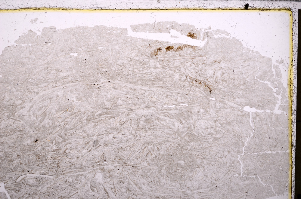 Plane Polarized, E26781