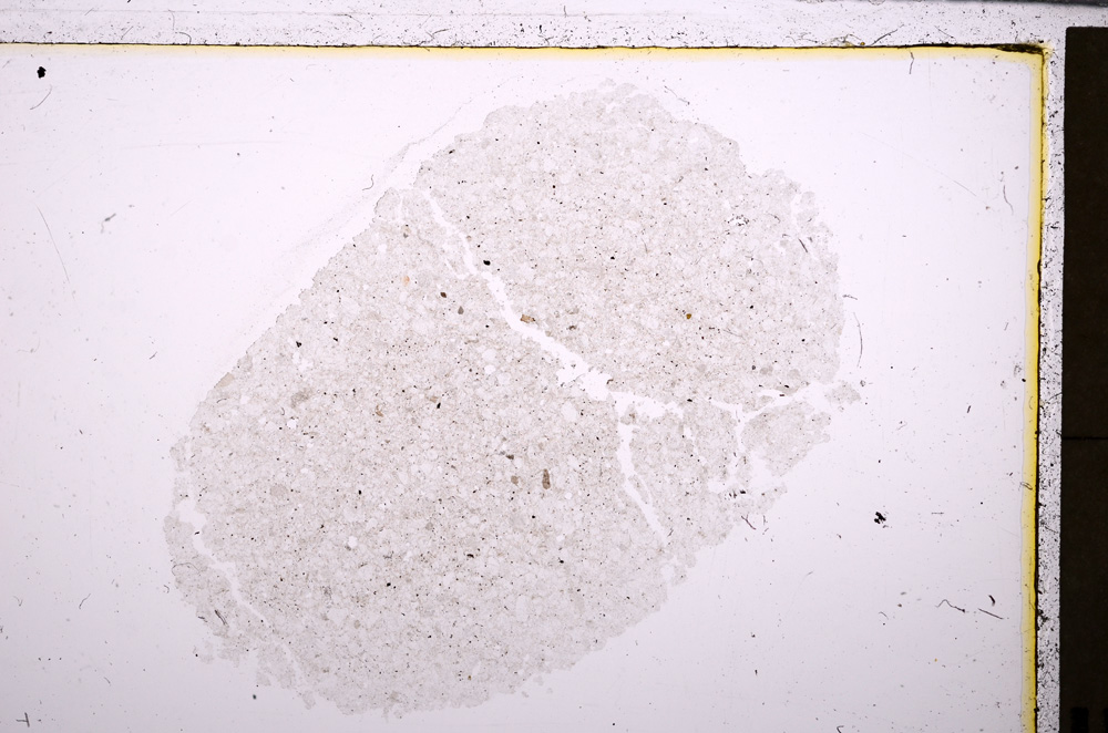 Plane Polarized, E26783