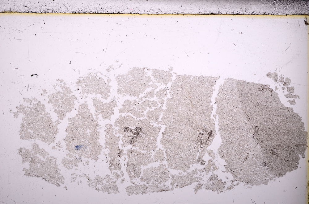 Plane Polarized, E26784