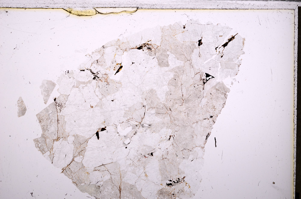 Plane Polarized, E26792