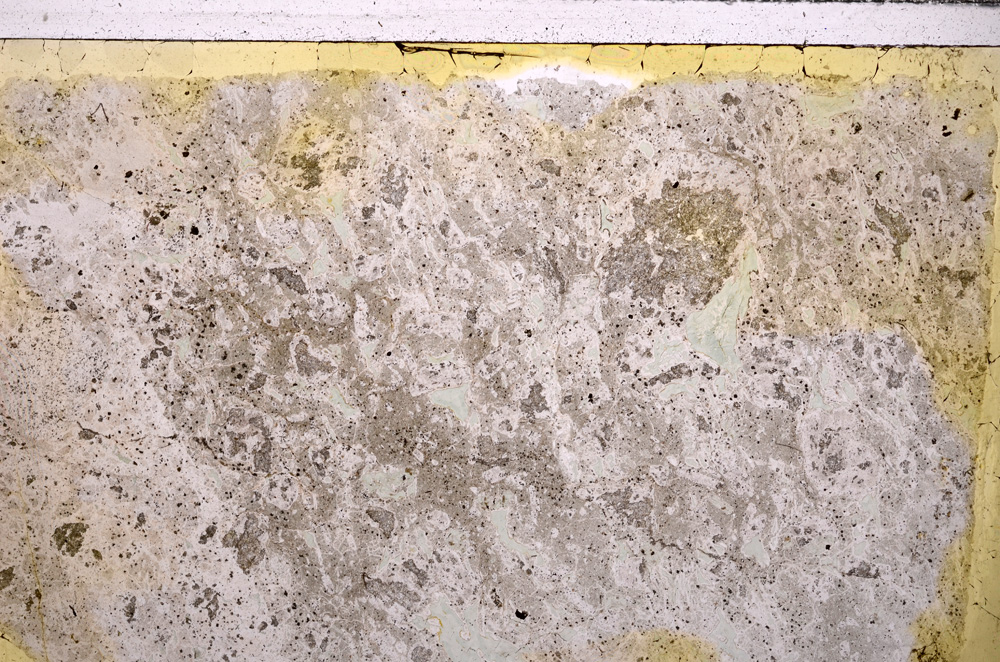 Plane Polarized, E26804