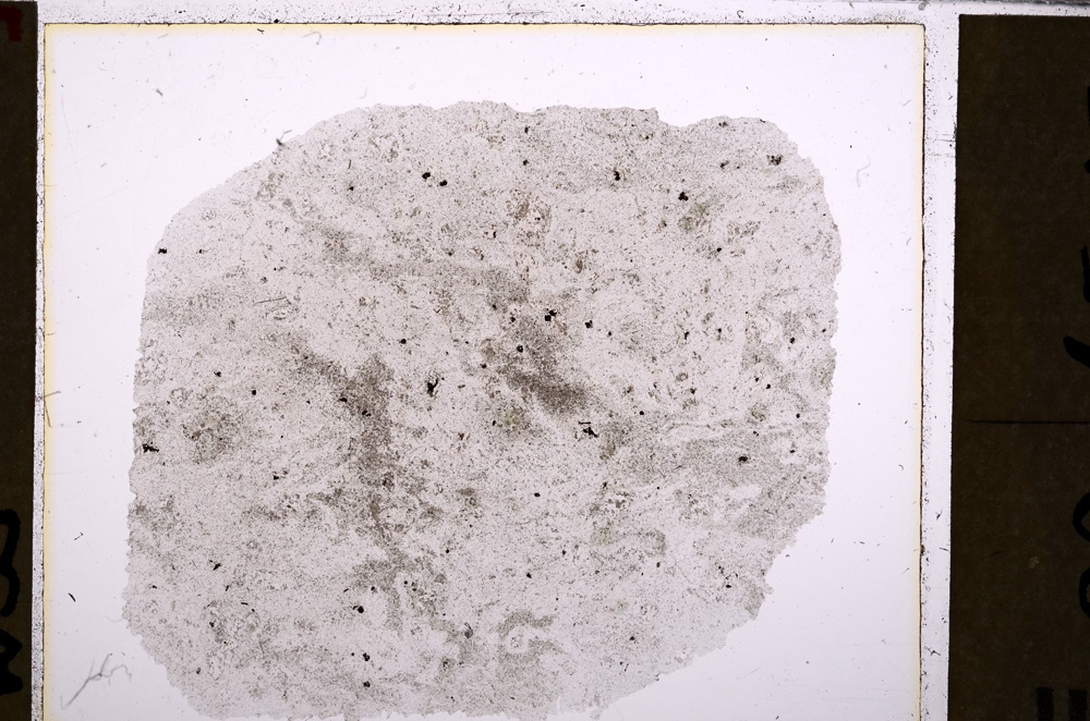 Plane Polarized, E26807