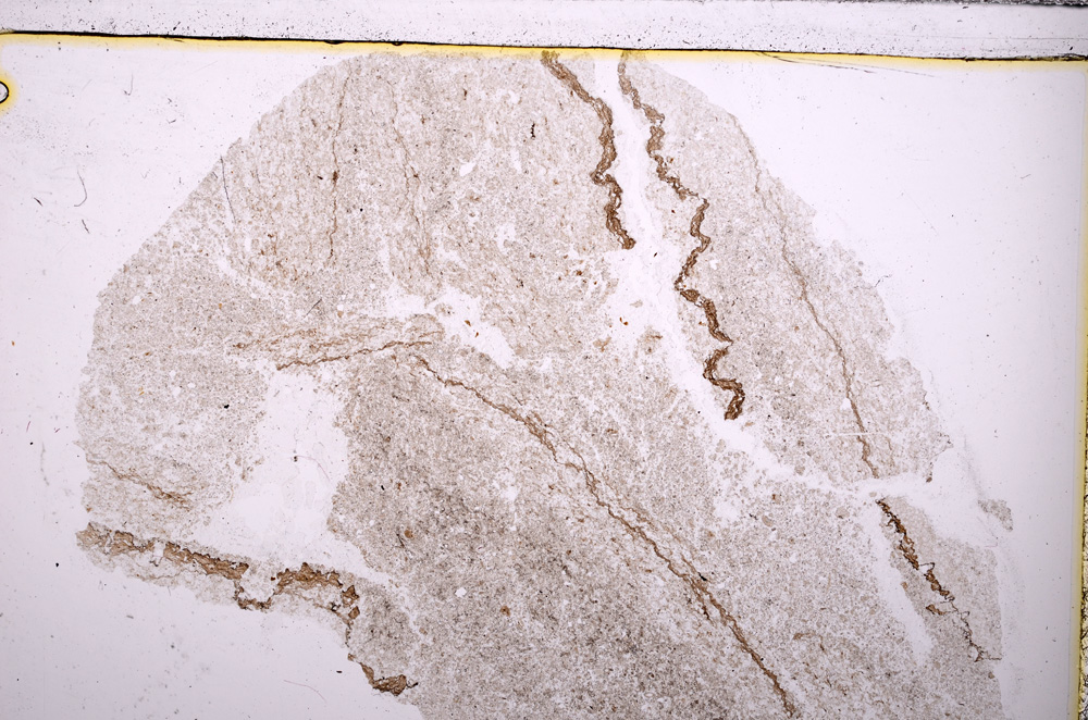 Plane Polarized, E26827