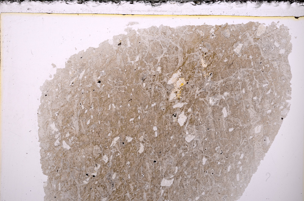 Plane Polarized, E26829