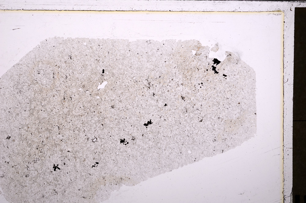 Plane Polarized, E26902