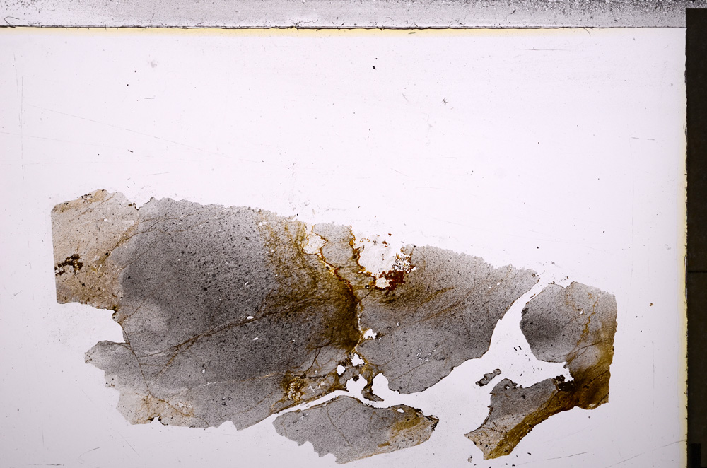 Plane Polarized, E26934