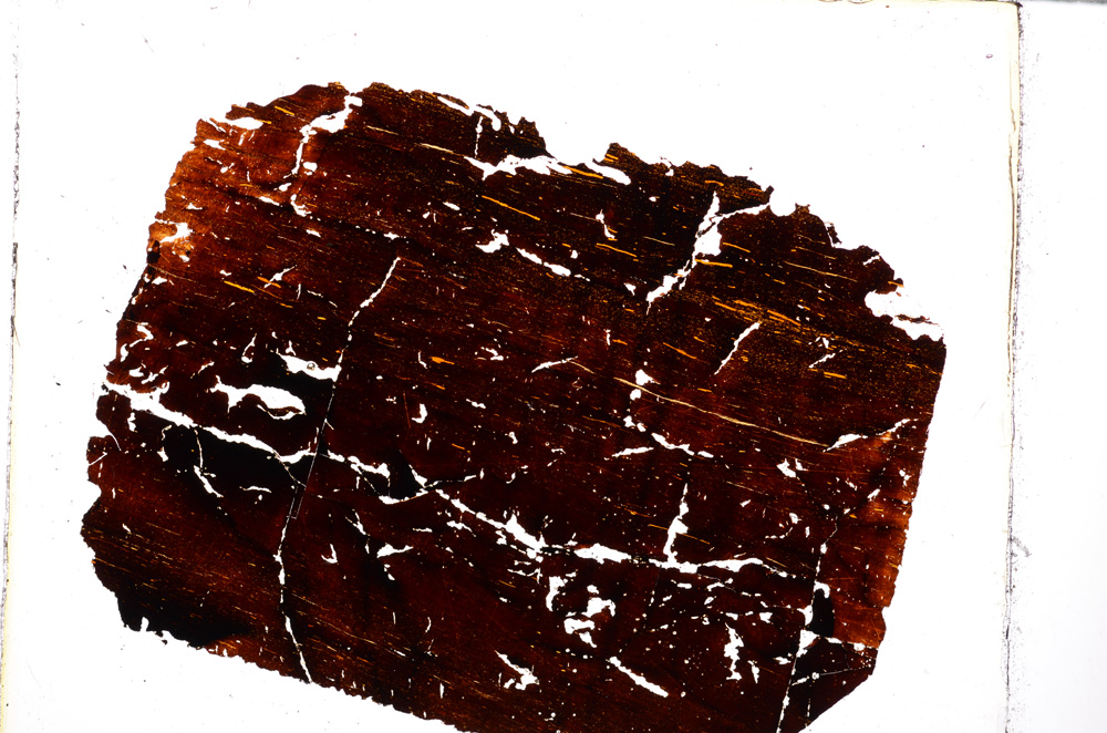 Plane Polarized, E27016