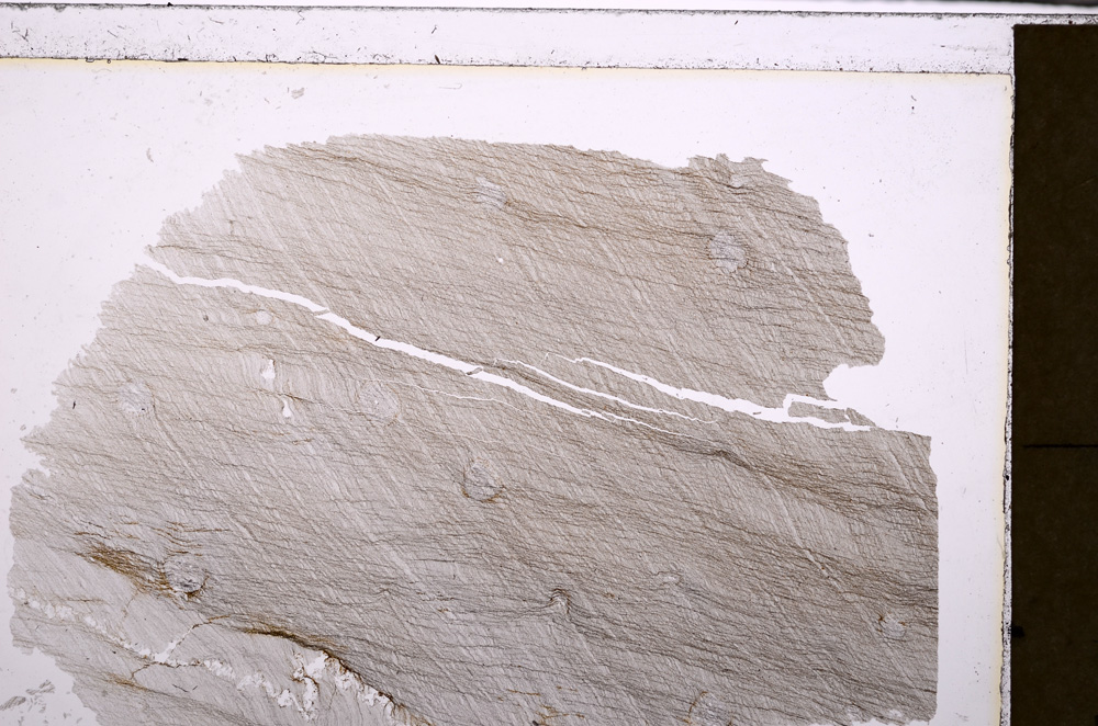 Plane Polarized, E27155