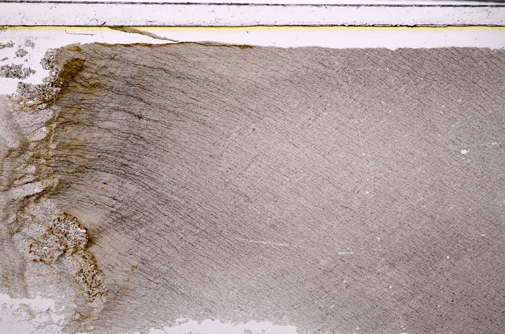 Plane Polarized, E27159