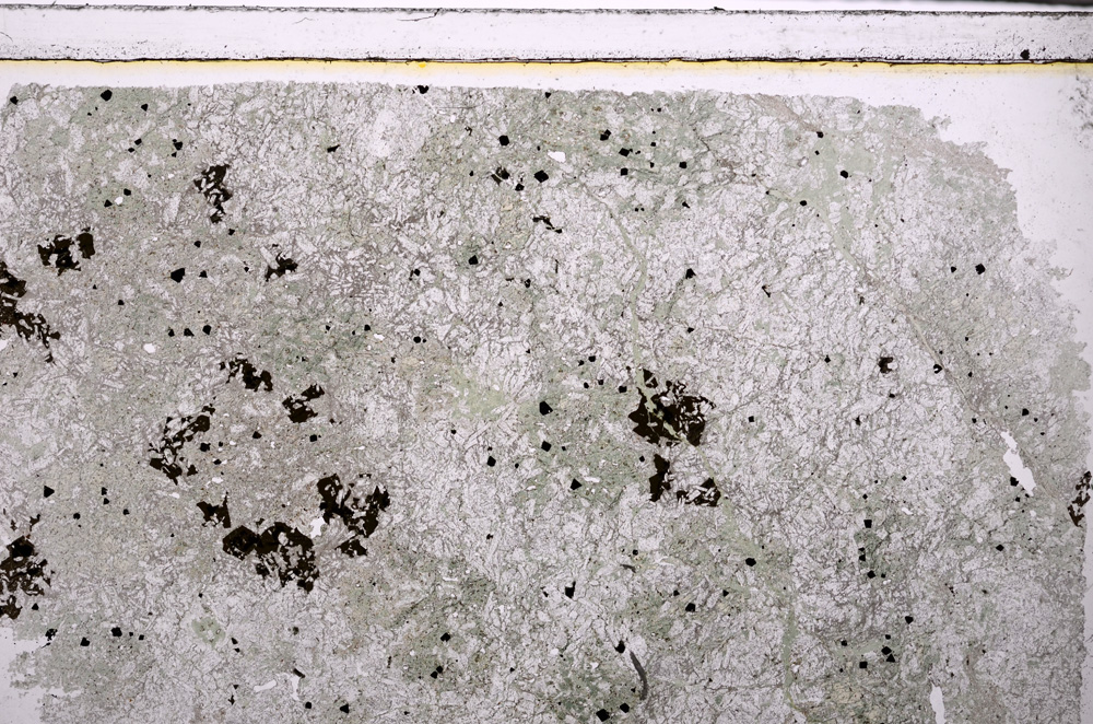 Plane Polarized, E27168