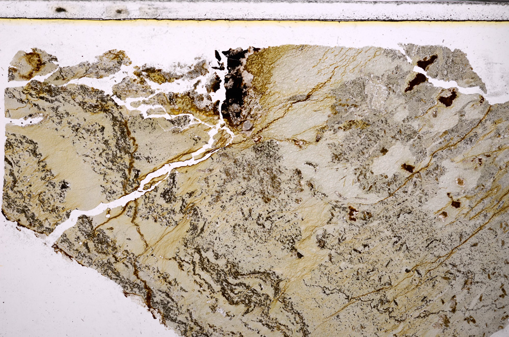 Plane Polarized, E27169