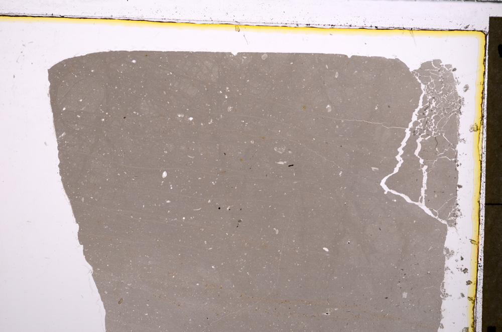 Plane Polarized, E27196
