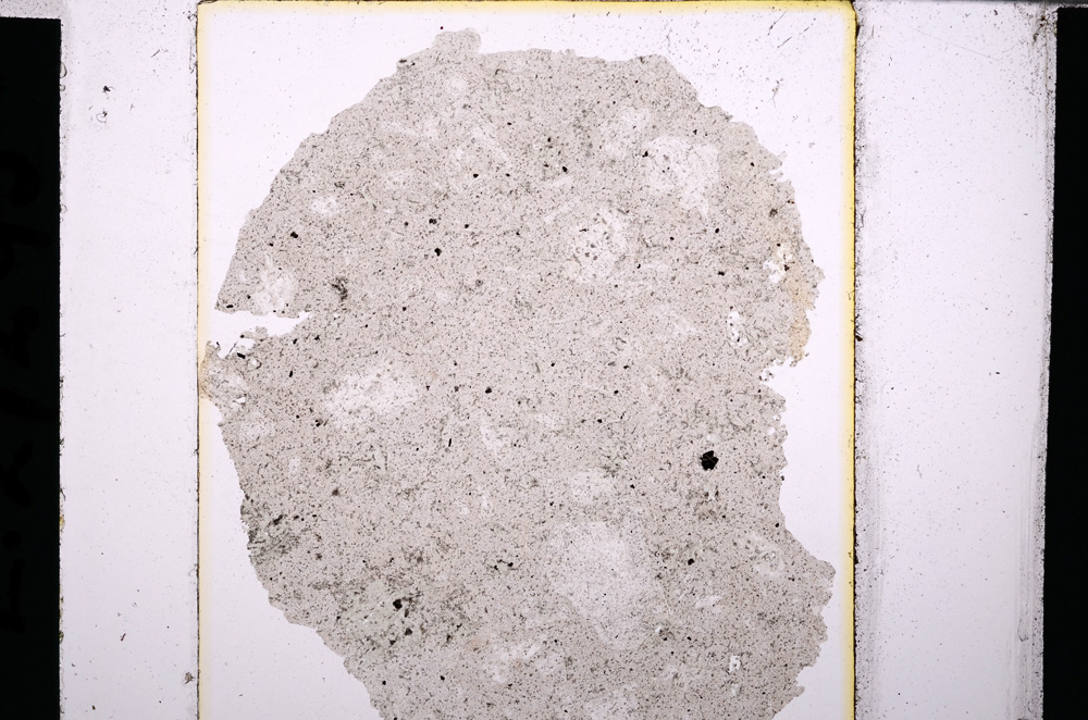 Plane Polarized, E27295