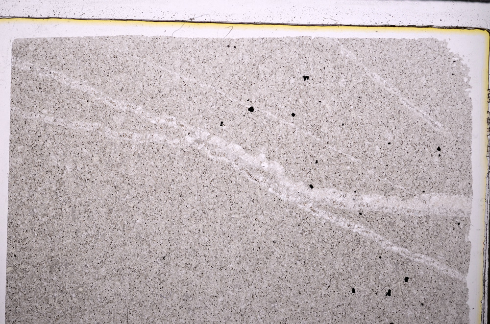 Plane Polarized, E27336