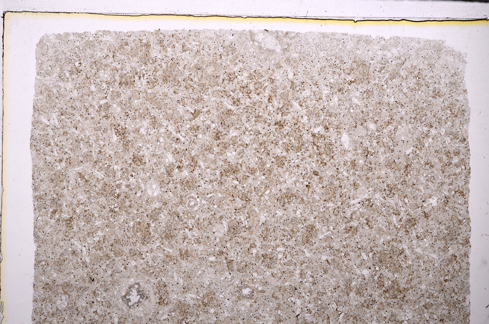Plane Polarized, E27344