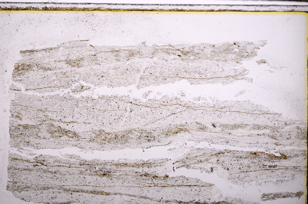 Plane Polarized, E27407