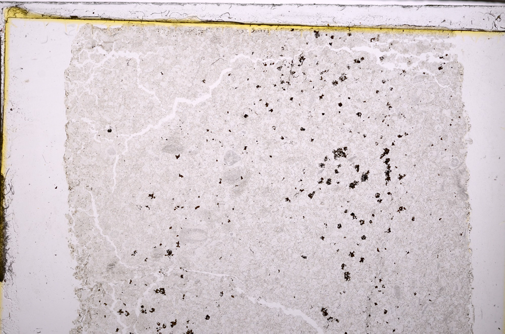 Plane Polarized, E27418