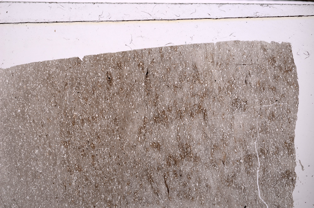 Plane Polarized, E27419