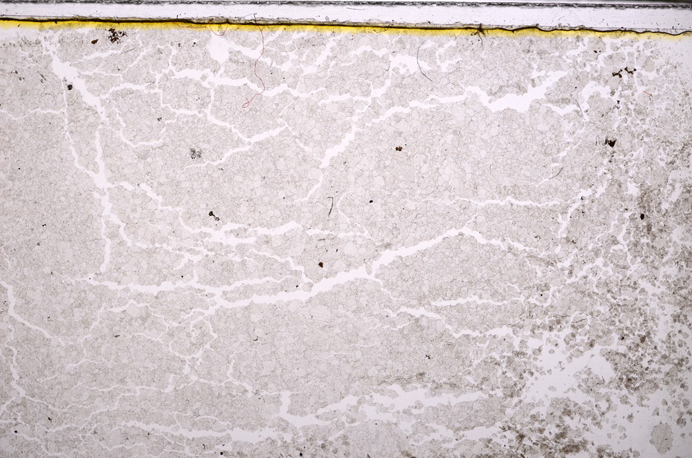 Plane Polarized, E27420