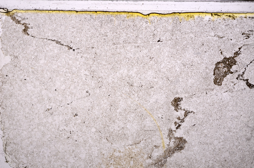 Plane Polarized, E27421