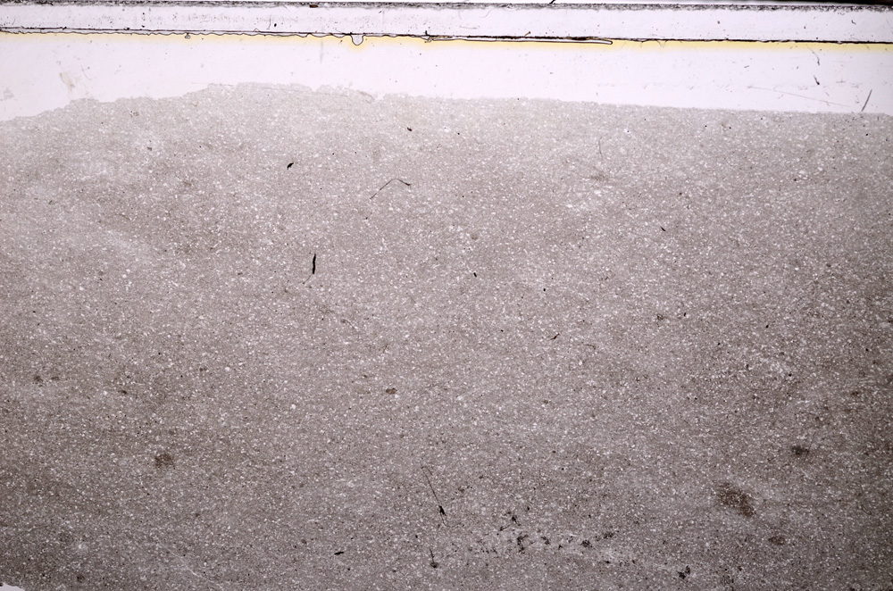 Plane Polarized, E27422