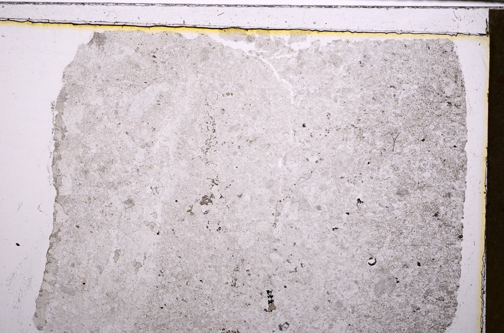 Plane Polarized, E27429