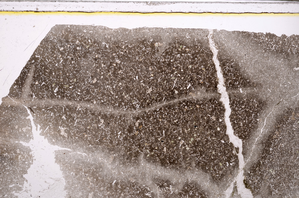 Plane Polarized, E27432