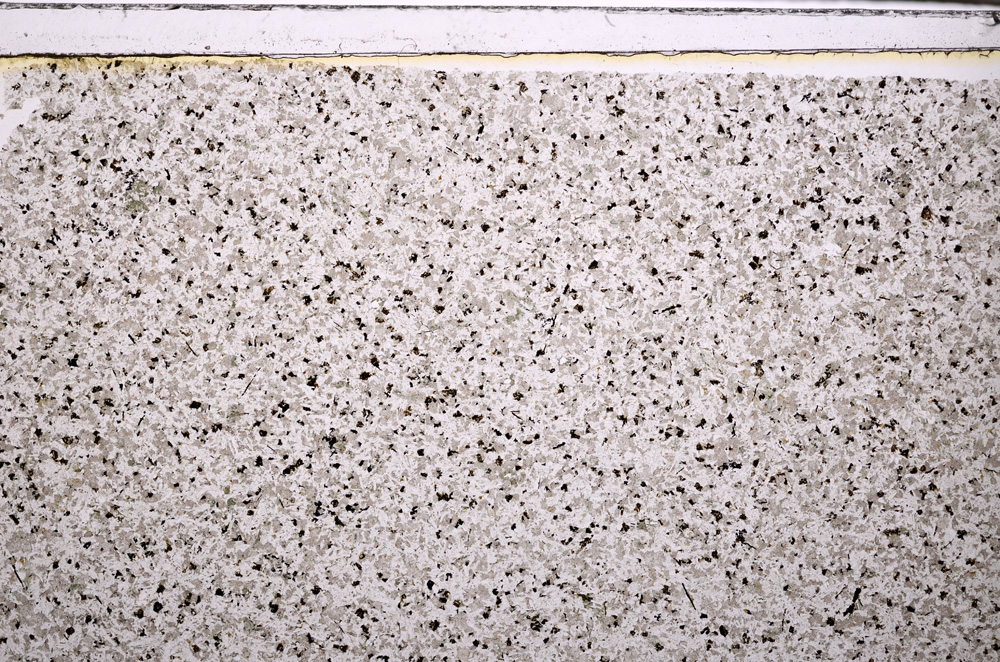 Plane Polarized, E27433