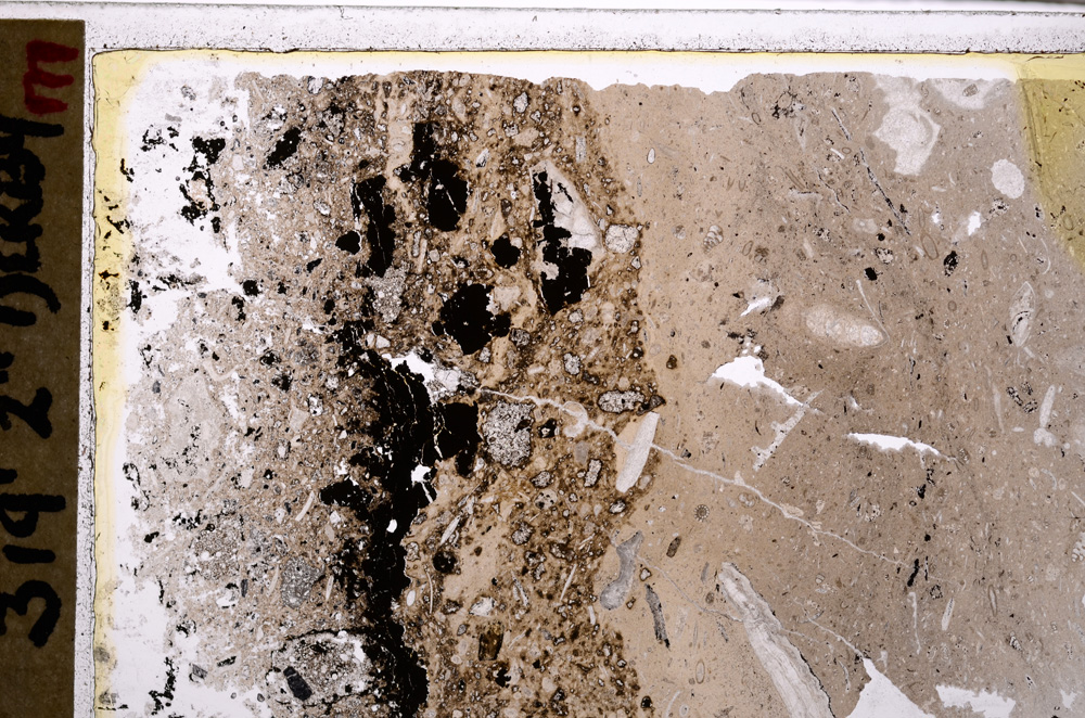 Plane Polarized, E27455