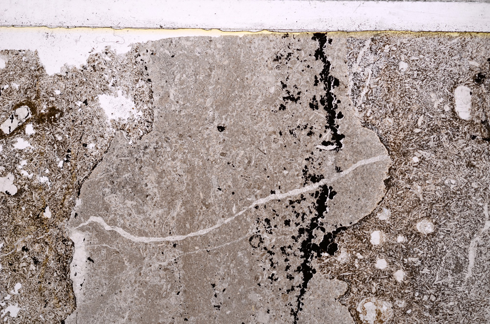 Plane Polarized, E27457