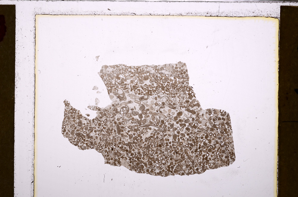 Plane Polarized, E27469