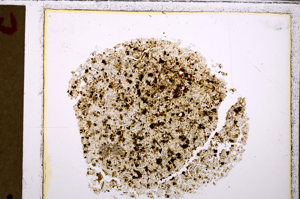 Plane Polarized, E27478