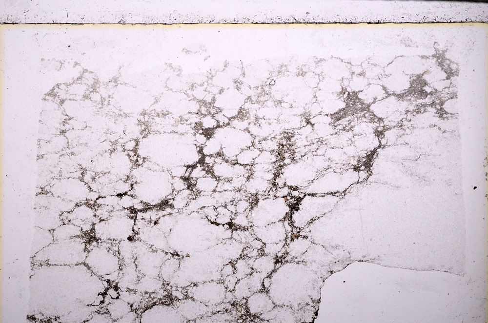 Plane Polarized, E27490