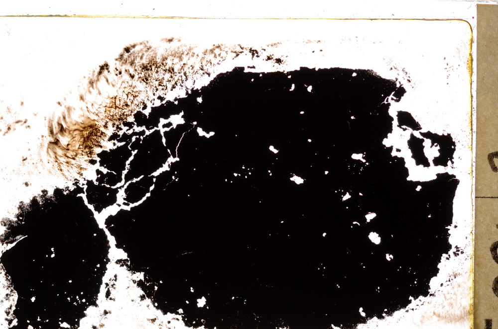 Plane Polarized, E27552