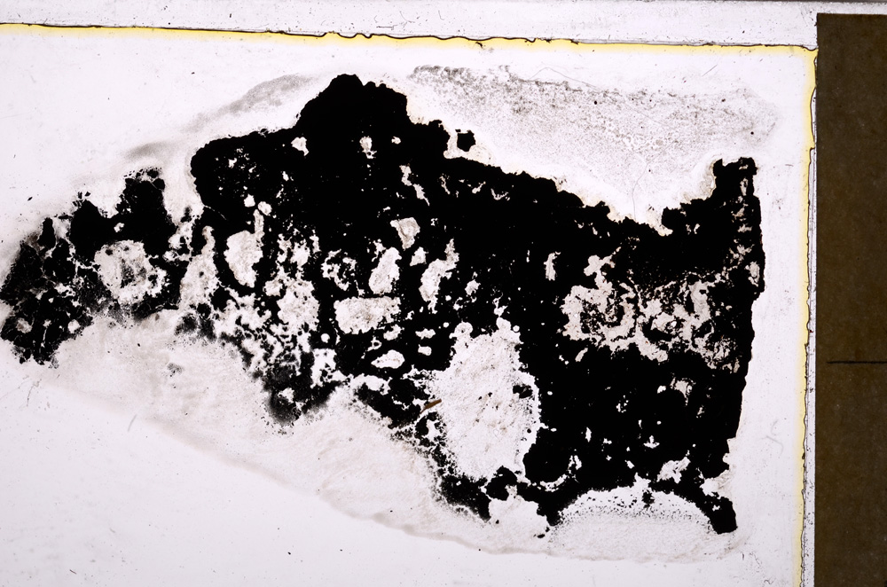 Plane Polarized, E27553