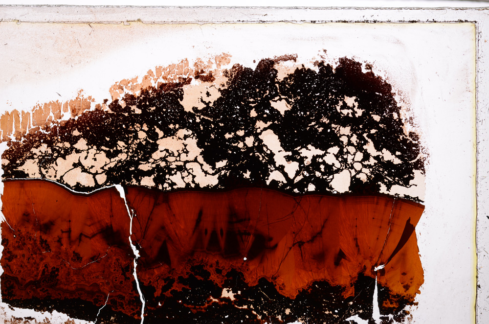 Plane Polarized, E27554