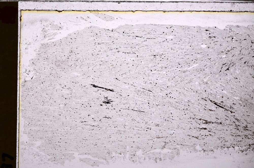 Plane Polarized, E27556