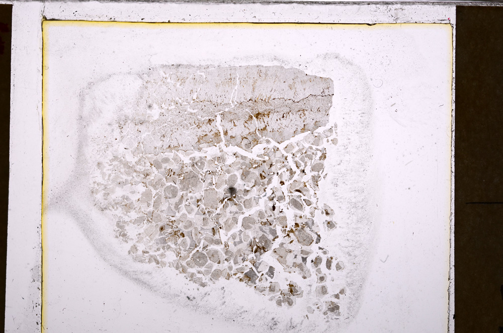 Plane Polarized, E27561