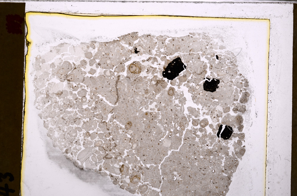 Plane Polarized, E27562