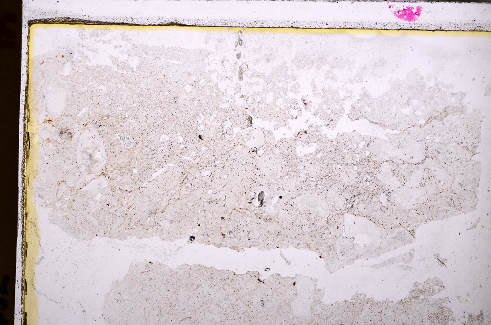 Plane Polarized, E27564