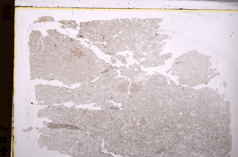 Plane Polarized, E27569