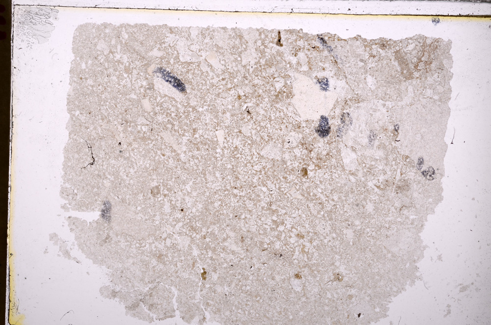 Plane Polarized, E27570