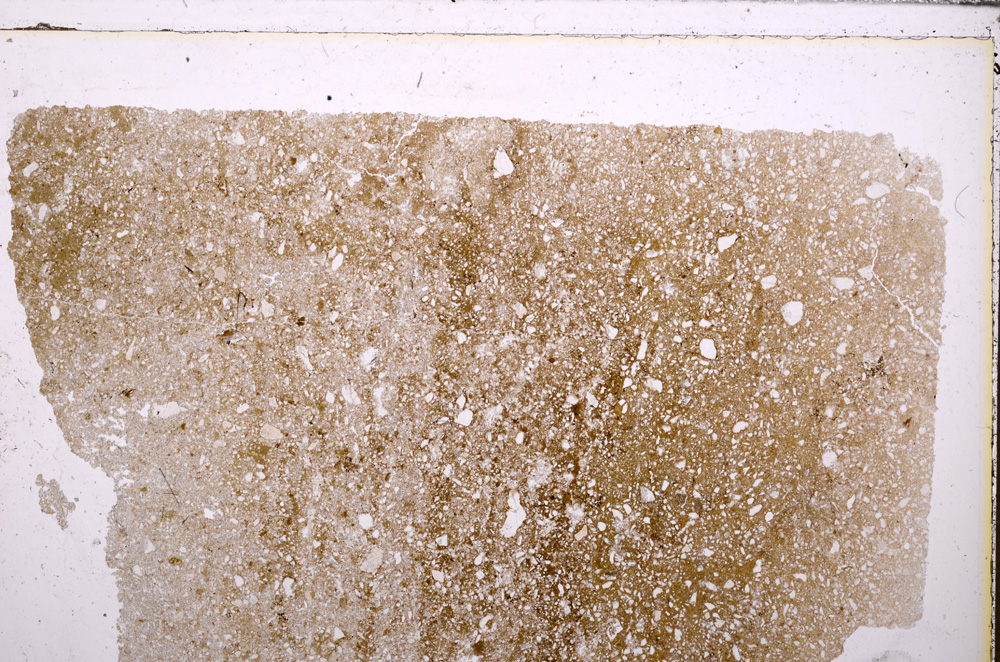 Plane Polarized, E27572