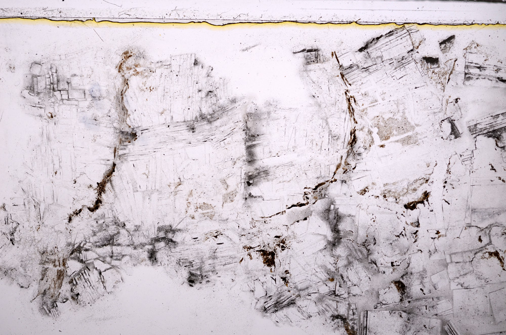 Plane Polarized, E27584