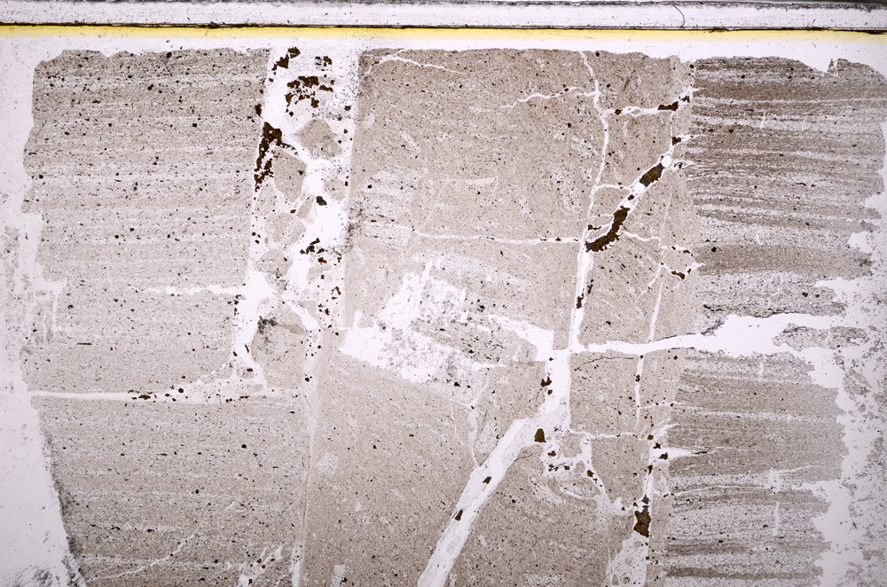 Plane Polarized, E27646