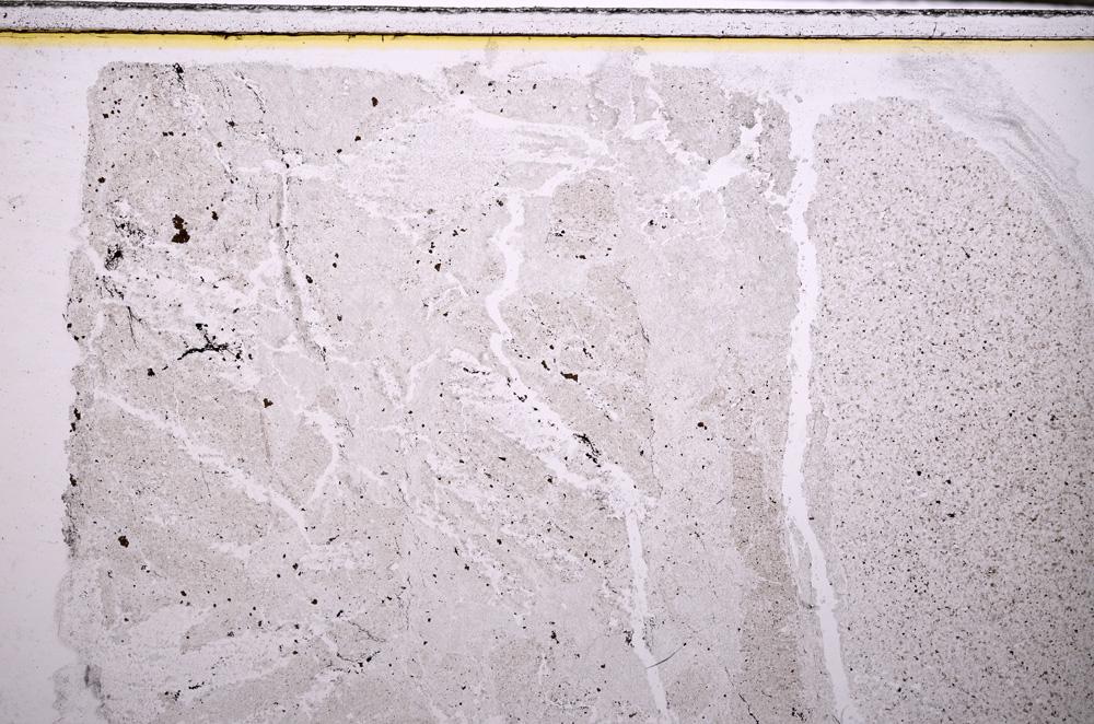 Plane Polarized, E27647