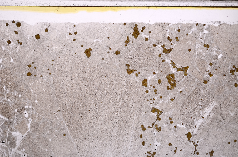 Plane Polarized, E27649