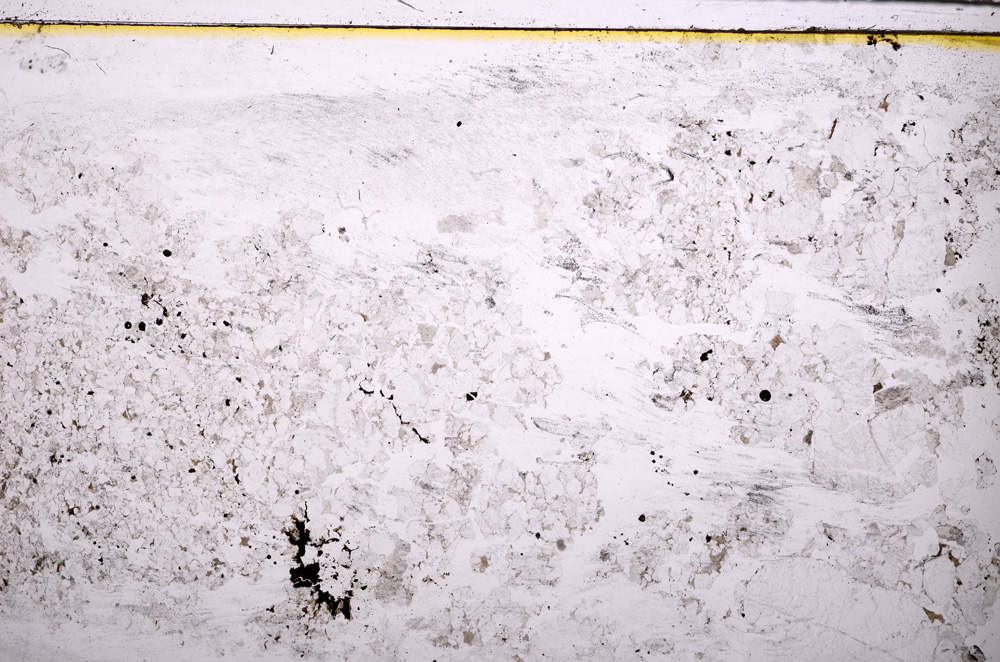 Plane Polarized, E27654